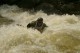 Thumbs/tn_Img_1878.jpg