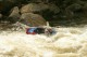 Thumbs/tn_Img_1950.jpg