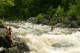 Thumbs/tn_Img_1980.jpg