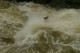 Thumbs/tn_Img_2009.jpg