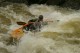 Thumbs/tn_Img_2012.jpg