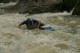 Thumbs/tn_Img_2017.jpg