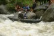 Thumbs/tn_Img_2196.jpg