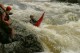 Thumbs/tn_Img_2217.jpg