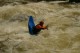 Thumbs/tn_Img_2240.jpg
