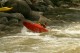 Thumbs/tn_Img_2244.jpg