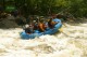 Thumbs/tn_Img_2395.jpg