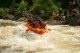 Thumbs/tn_Img_2403.jpg