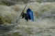 Thumbs/tn_Img_2703.jpg