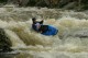Thumbs/tn_Img_2971.jpg