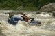 Thumbs/tn_Img_3638.jpg
