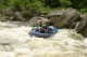 Thumbs/tn_Img_3642.jpg