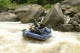 Thumbs/tn_Img_3643.jpg