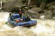 Thumbs/tn_Img_3644.jpg
