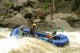 Thumbs/tn_Img_3647.jpg