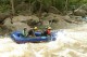 Thumbs/tn_Img_3648.jpg