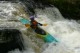 Thumbs/tn_Img_3631.jpg