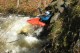Thumbs/tn_Img_4024.jpg