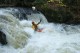 Thumbs/tn_Img_4170.jpg