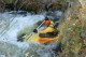 Thumbs/tn_Img_4274.jpg