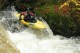 Thumbs/tn_Img_4318.jpg