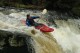 Thumbs/tn_Img_4372.jpg