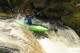 Thumbs/tn_Img_4562.jpg