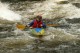 Thumbs/tn_Img_8892.jpg