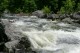 Thumbs/tn_Img_1577.jpg