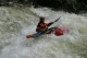 Thumbs/tn_Img_1661.jpg
