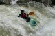 Thumbs/tn_Img_1737.jpg