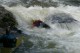 Thumbs/tn_Img_1750.jpg