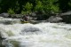 Thumbs/tn_Img_2221.jpg