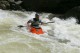 Thumbs/tn_Img_2417.jpg