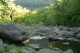 Thumbs/tn_Img_2844.jpg