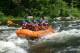 Thumbs/tn_Img_2965.jpg