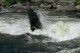 Thumbs/tn_Img_3354.jpg