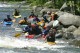 Thumbs/tn_Img_3384.jpg
