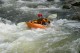 Thumbs/tn_Img_3552.jpg