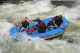 Thumbs/tn_Img_3603.jpg