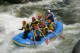 Thumbs/tn_Img_3612.jpg