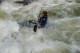 Thumbs/tn_Img_3767.jpg