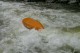 Thumbs/tn_Img_3859.jpg