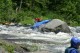 Thumbs/tn_Img_4437.jpg