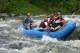 Thumbs/tn_Img_4682.jpg