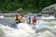 Thumbs/tn_Img_6177.jpg