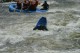 Thumbs/tn_Img_6270.jpg