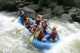 Thumbs/tn_Img_6294.jpg