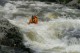 Thumbs/tn_Img_6422.jpg