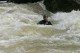 Thumbs/tn_Img_6489.jpg